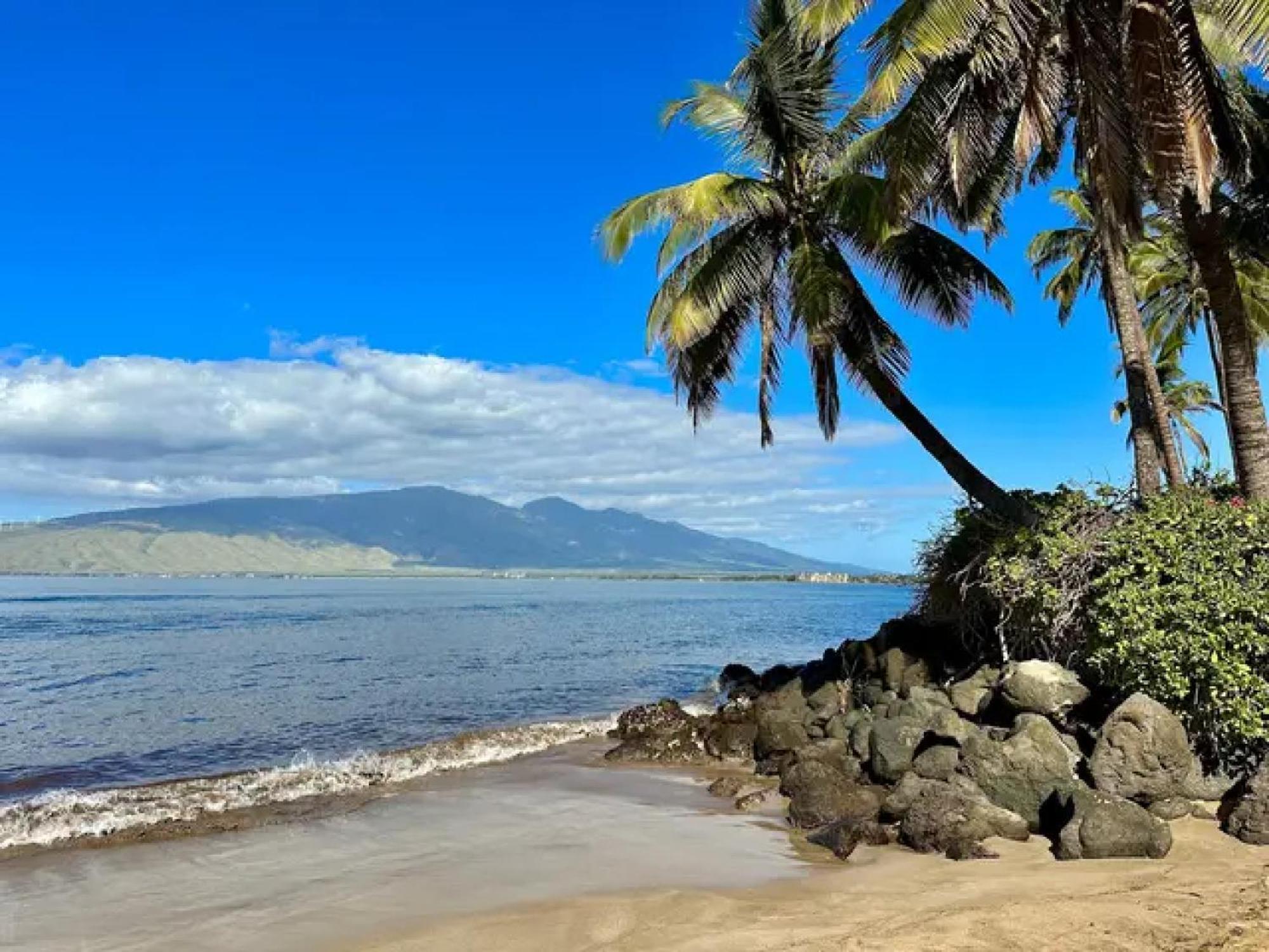 Cozy Maui Studio Retreat Just Steps To The Sand! 키헤이 외부 사진